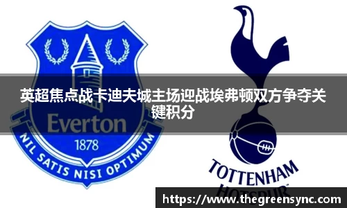 英超焦点战卡迪夫城主场迎战埃弗顿双方争夺关键积分